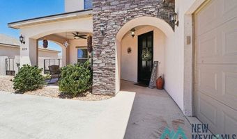 308 Baler Ln, Carlsbad, NM 88220
