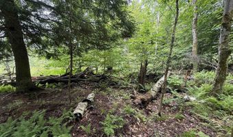 1386 Clif Reynolds Rd, Cambridge, VT 05444