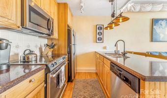 35 Patton Ave 302, Asheville, NC 28801
