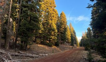 0 S. Ozite Rd, Alturas, CA 96101