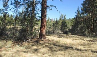 Jaguar Lane 29, Bonanza, OR 97623