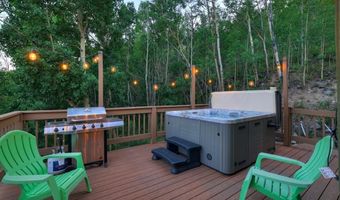 1095 Quartzville Rd, Alma, CO 80440