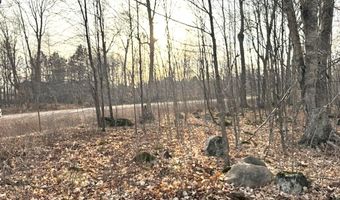 THORN APPLE Drive Lot 1, Wittenberg, WI 54499