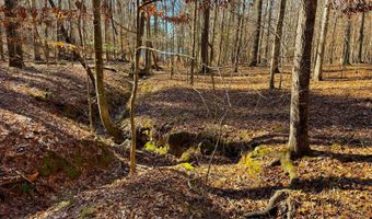 1290 Cedar Cove Rd, Camden, SC 29020