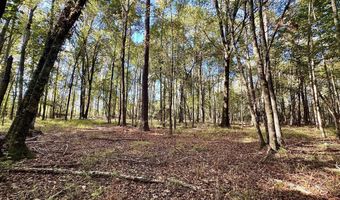 Eugene Ward Road, Adrian, GA 31002