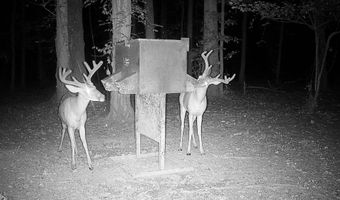Gun Baoyu Road, Belzoni, MS 39038