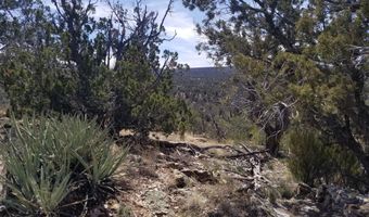 444 445 S Arizona Rd, Ash Fork, AZ 86320