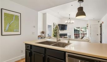 303 PELICAN Cir 1906, Breckenridge, CO 80424