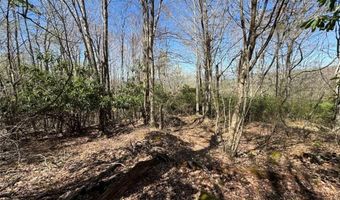 62 Acres Buckeye Ridge Rd, Beech Mountain, NC 28604