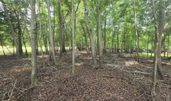 SW 47TH LANE, Bell, FL 32619