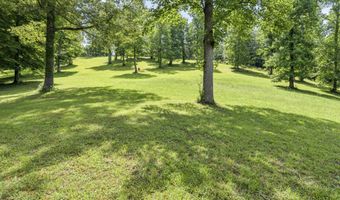 1820 Frank Roberts Rd, Afton, TN 37616