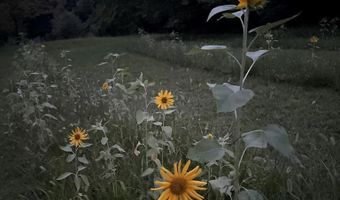 1421 Oak Level Rd, Bassett, VA 24055