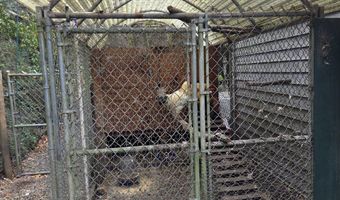 96420 ALDER RIDGE Rd, Brookings, OR 97415