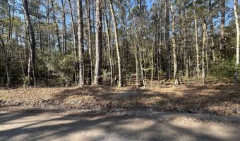 Old Military Road lot # 3, Adams Run, SC 29426
