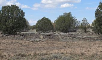 64 Antelope Run, Ash Fork, AZ 86320