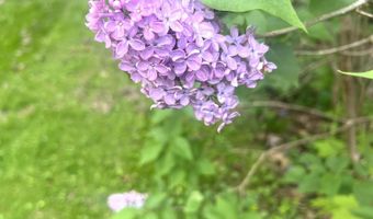316 Putney Rd, Brattleboro, VT 05301
