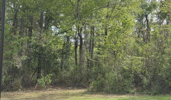 1311 A N Jackson St, Brookhaven, MS 39601