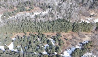 Hollow Road, Barton, VT 05822