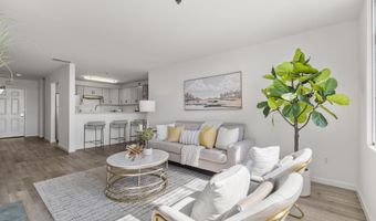 535 Pierce St 1207, Albany, CA 94706