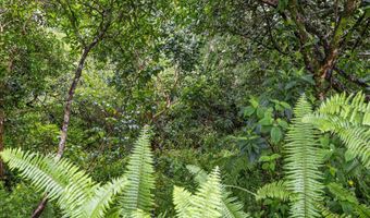 PARADISE DR, Keaau, HI 96749