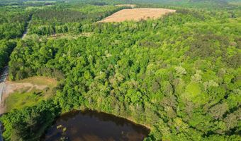 22 62 Acres Hwy 84, Amity, AR 71921