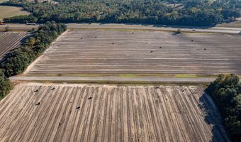 3431 Gladys Ct, Albany, GA 31705