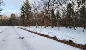 L59 Badger Court lot 59, Arkdale, WI 54613