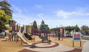 1011 Pomona Ave, Albany, CA 94706