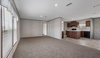 965 NW 55th Ave, Bell, FL 32619
