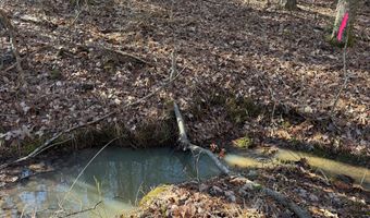 MOUNTAIN CUT RD lot D, Appomattox, VA 24522