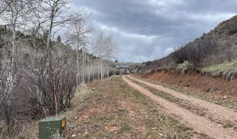777 RICHARDSON CREEK Rd, Afton, WY 83110