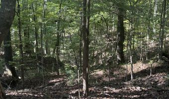 1 8 Miles Due South Down Anding Oil City Rd, Bentonia, MS 39040