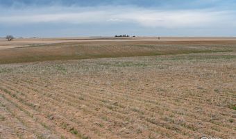 LOT 5 144th Ave, Bennett, CO 80102