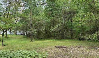 Tract 1 East Bay Road, Atkins, AR 72823