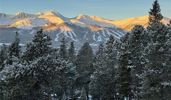 111 Emmett Lode Rd, Breckenridge, CO 80424