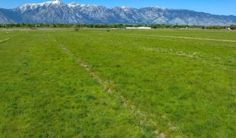 Pinenut Rd, Gardnerville, NV 89410