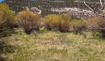 Cottonwood Drive lot 48, Antonito, CO 81120