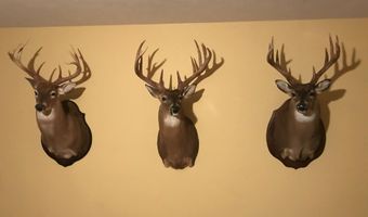 001 Farr Rd, Bolton, MS 39041