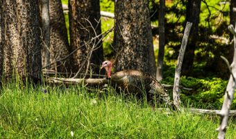 HAZELTON PEAK RANCH, Buffalo, WY 82834