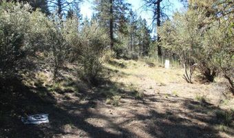 Jaguar Lane 29, Bonanza, OR 97623