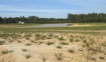 Freedom Farms Crossing, Brandon, MS 39047