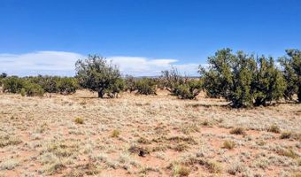 Lot 44 Ranch Of The White Mountains N9119, Concho, AZ 85924