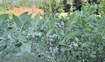498 Town Line Rd, Bennington, VT 05201