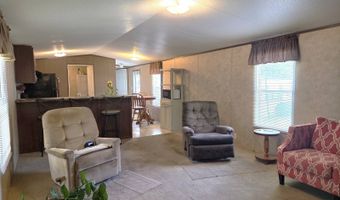 32 Freemont Rd, Asheville, NC 28806