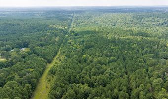 Burks Mountain Road, Appling, GA 30802