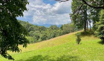 48 Sweet Fern Pkwy 59, Asheville, NC 28804