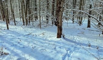 00 Fawn Lake Rd, Addison, NY 14801