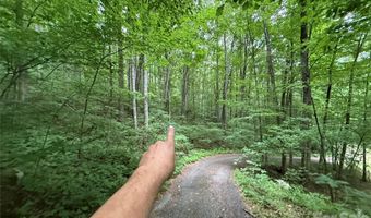 9999 Countryside Est, Barnardsville, NC 28709