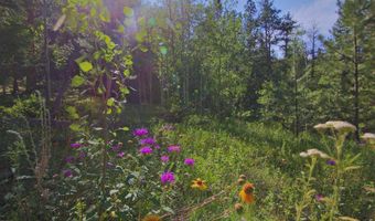 County Road 59, Allenspark, CO 80510