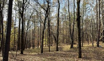 15548 Highway 15 N, Ackerman, MS 39735